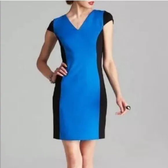 Micheal Kors ✧ Black Blue Colorblock Sheath Dress - Picture 1 of 7
